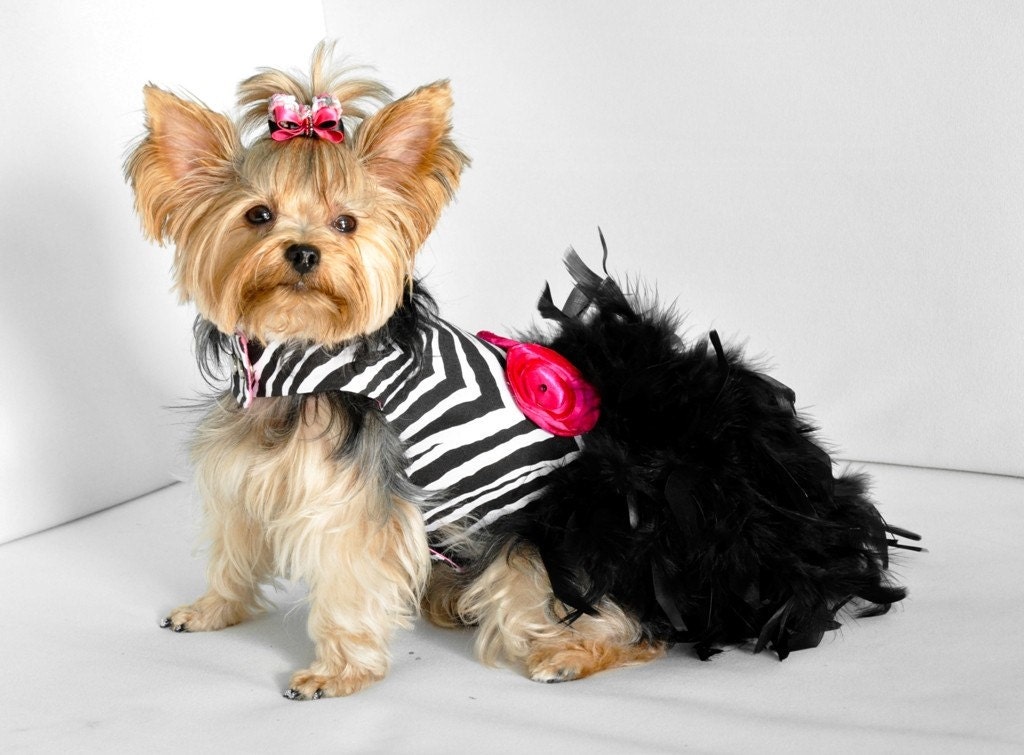 Haute Zebra Feather Harness Dog Dress