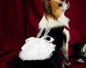 French Maid Tutu Harness Dog Dress - Halloween Costume