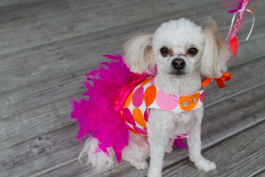 Lottie Dottie Polka Dot Feather Harness Dog Dress
