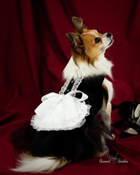 Doggy dress