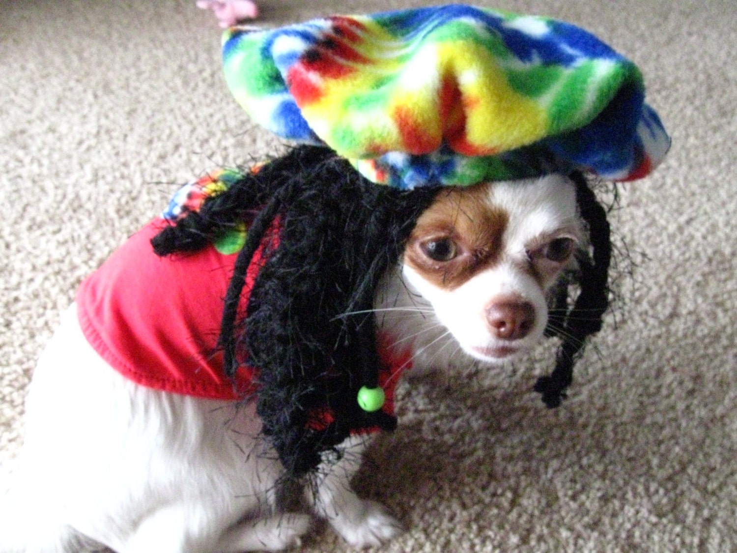 Rasta Dog Halloween Costume Hat - Exclusive