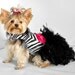 Haute Zebra Feather Harness Dog Dress