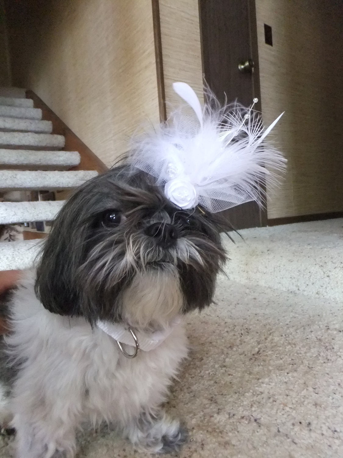 White Wedding Dog Hair Bow Fascinator