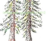 Evergreen Love Greeting Card 5 x 7  I'd Like To Grow Old With You