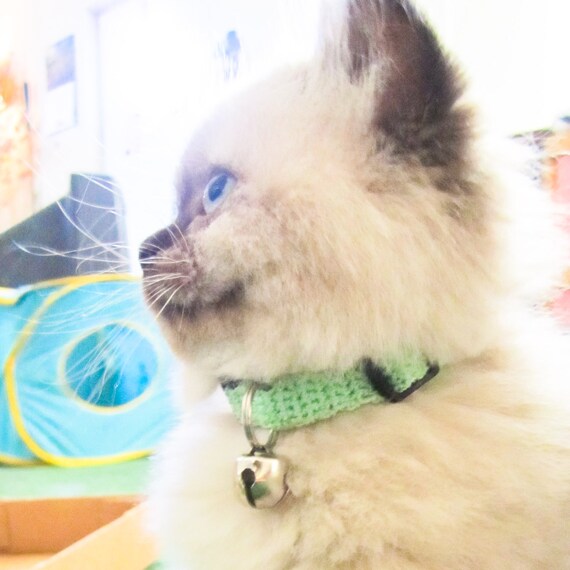 Crochet Cat Collar Seafoam Green by CrochetPetCollars on Etsy