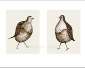 pigeon pair, double portrait - fine art print (large)
