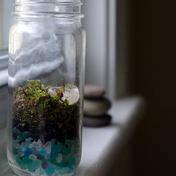 Green Moss Terrarium in Glass Jar Self Sustaining Size Small