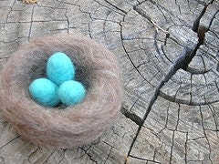 Perfect Robins Nest