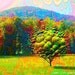 The Bubble Tree ... neon, trippy tree and fractal art photo collage