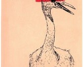 Sandhill Crane Print