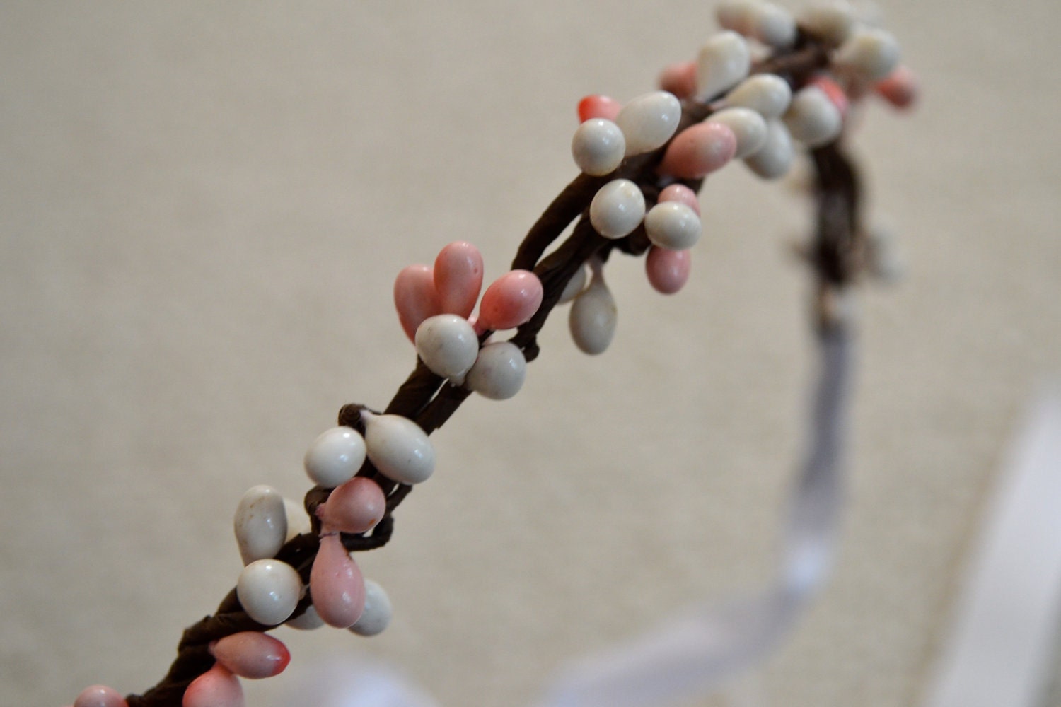Spring Twig Crown