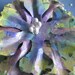 Beautiful Music Flower Embellishment set of 3