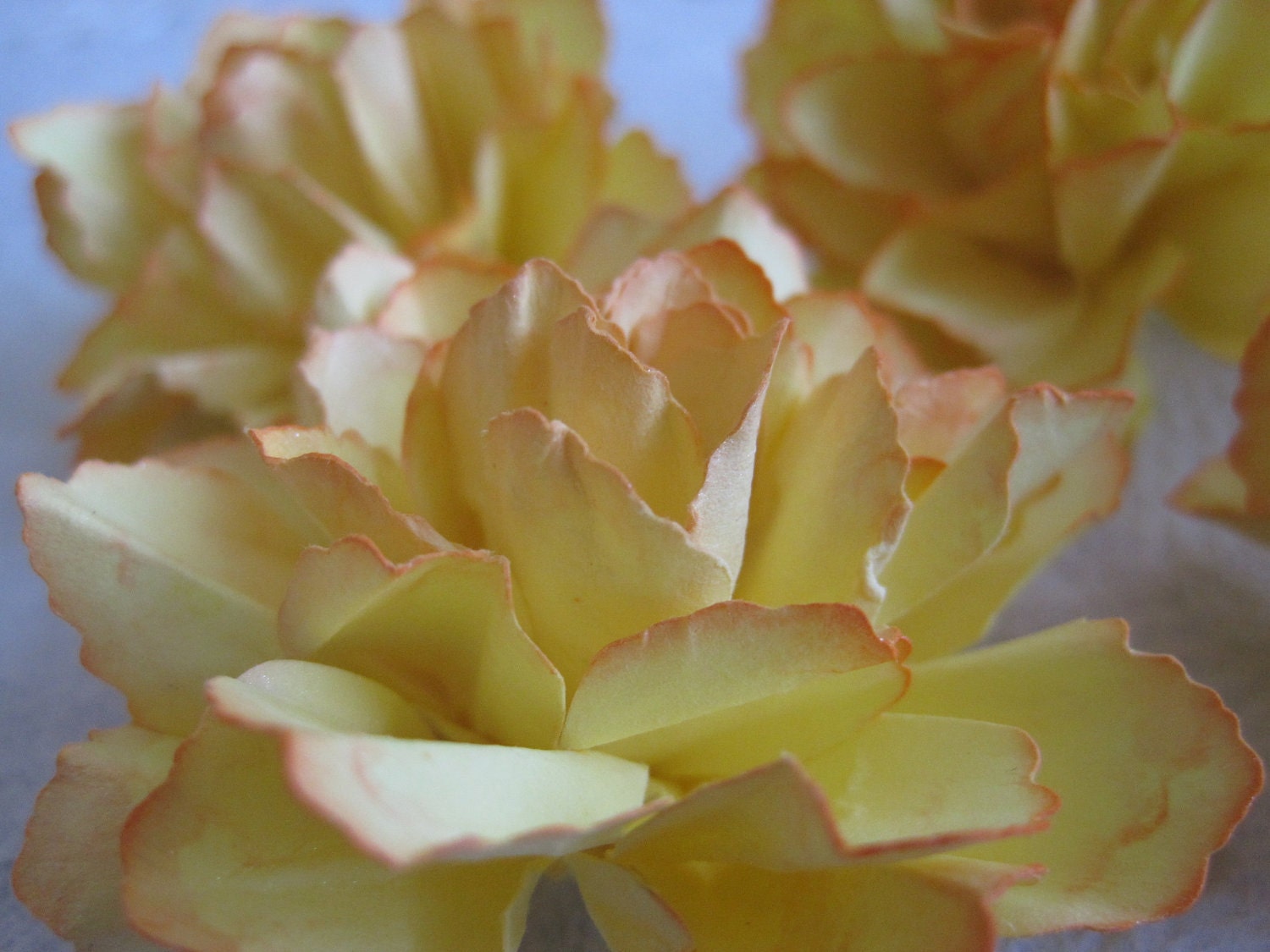 Handmade Butter Yellow Paper Flowers with Tangerine Accents - Set of 5