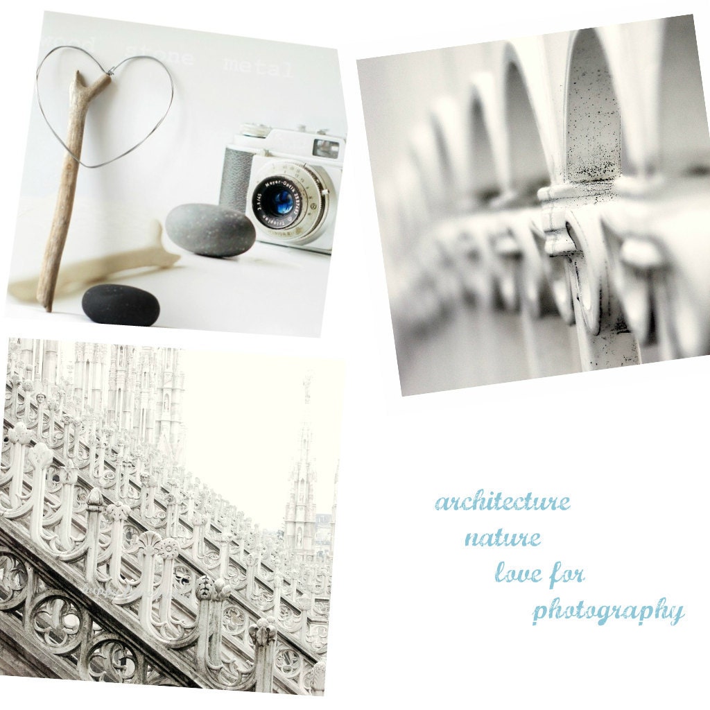 Vintage cameras, nature & architecture - set of three fine art prints - 5 x 5 or 8 x 8