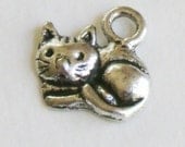 Hunger Games Buttercup Cat Charm