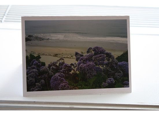 Laguna Niguel, CA Photo Greeting Notecard-Blank Inside-  FREE SHIPPING