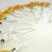 Salted Caramel Subscription Lollipops  - pick your dates - artisan hard candy subscription