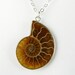 Caramel, Butterscotch, and Cream Ammonite Fossil Pendant Necklace with Unusual Wavy Design on a Sterling Silver Chain