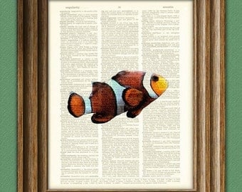 Clown Fish illustration beautifully upcycled dictionary page book art print