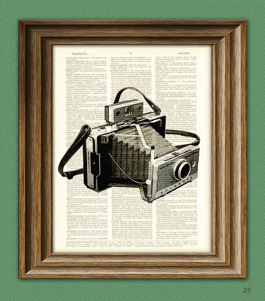 Antique POLAROID LAND CAMERA 100 print over an upcycled vintage dictionary page book art 2