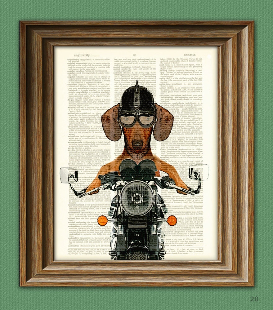 Dachshund Art Print Doxie Danger Motorcycle Stuntman dog illustration beautifully upcycled dictionary page book art print
