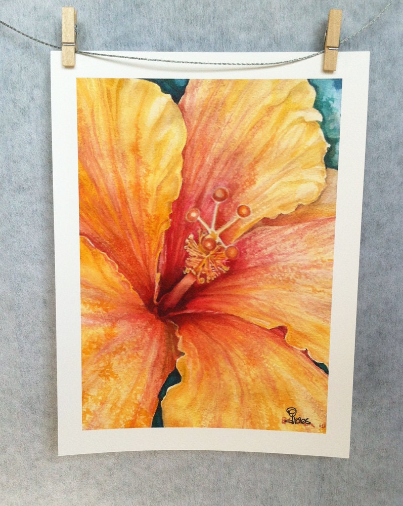 hibiscus flower, art print, 5x7 wall art, tropical flowers