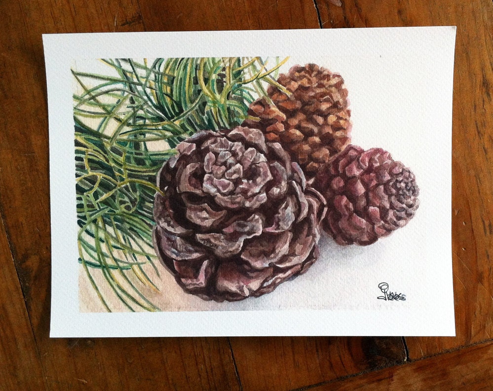 pine cone, watercolor print, 5x7 art print
