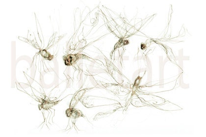 dragonfly x dragonfly