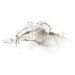 dying white swan