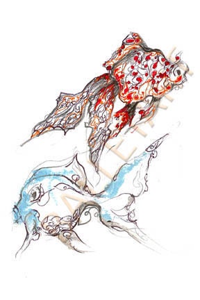 goldfish-wall art- drawing print