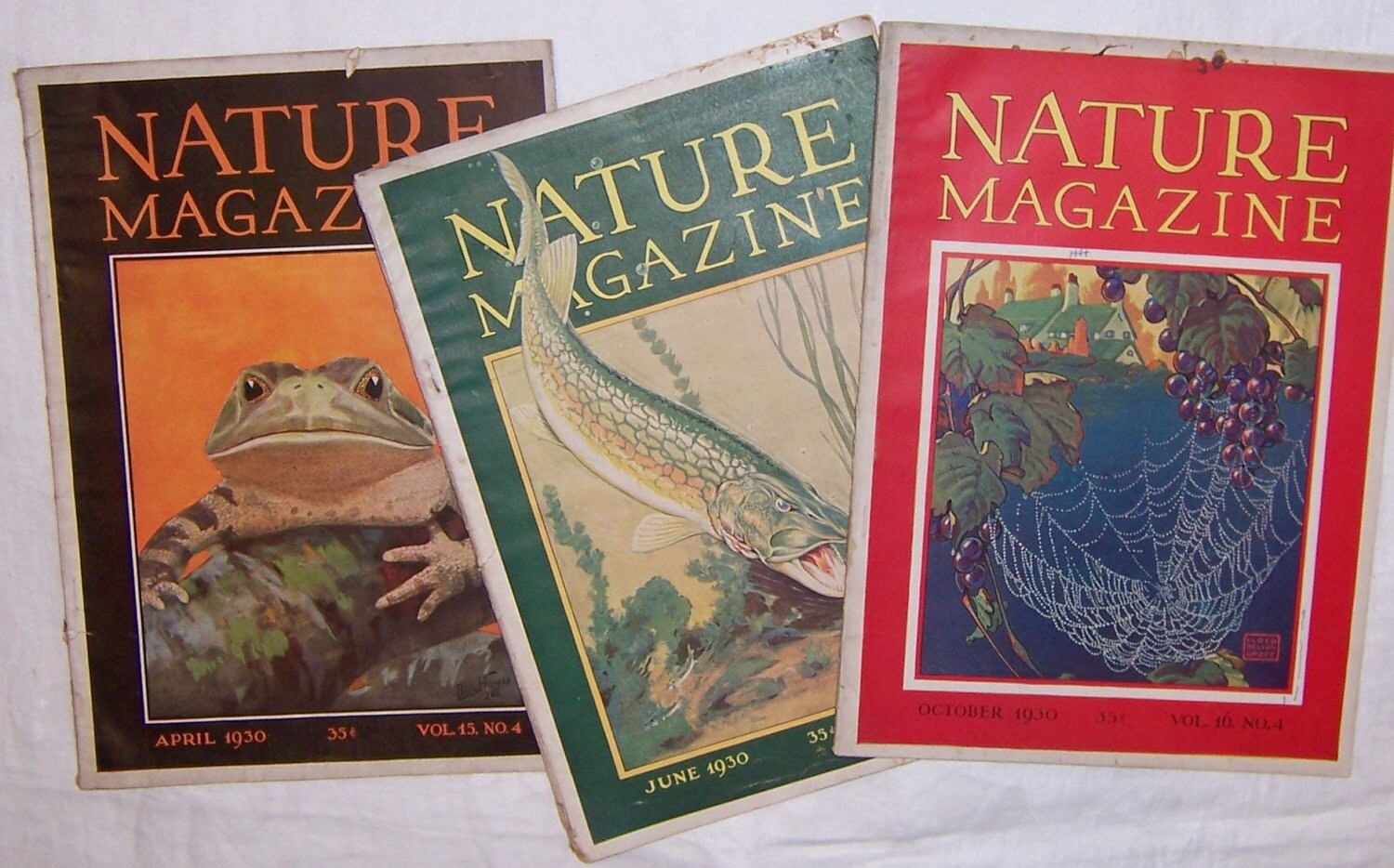 NATURE MAGAZINE for April, June, October 1930 - Covers by Paul Howes, F. Smoot, Lloyd Nelson Grofe