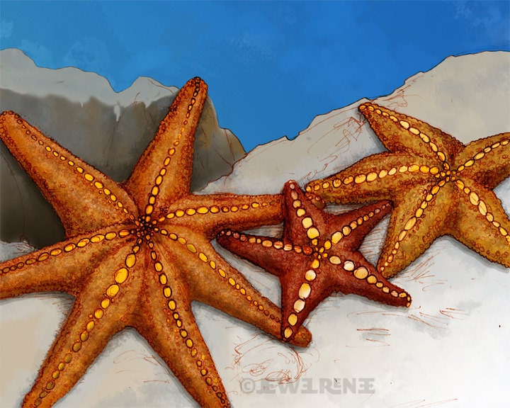 Starfish Art Print - Blue Orange Gold Sand Aquatic Art - Watercolor Inspired 11x14 Inch Print