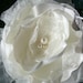 Flower Bird Cage Veil on a Headband // Cordelia