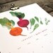 DUETS - 2012 market / garden calendar