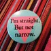 I'm Straight But Not Narrow Pin