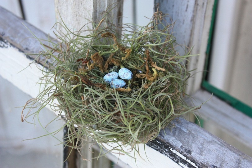 Handmade Bird nest with robbin eggs