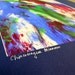Original Abstract Acrylic Painting - 11x14 matted to fit 16x20 Frame - Painted by a Pony