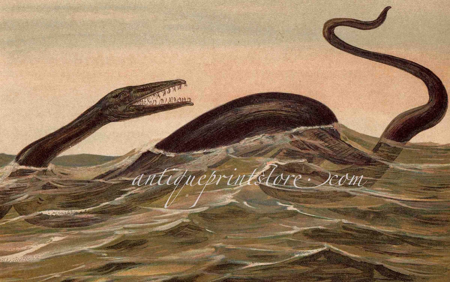 1902 mosasaurus original antique print extinct animal rare