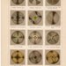 1889 chromatic polarization original antique science print