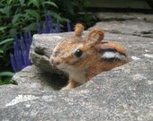 Chippi the chipmunk, needle felted animal fiber art sculpture