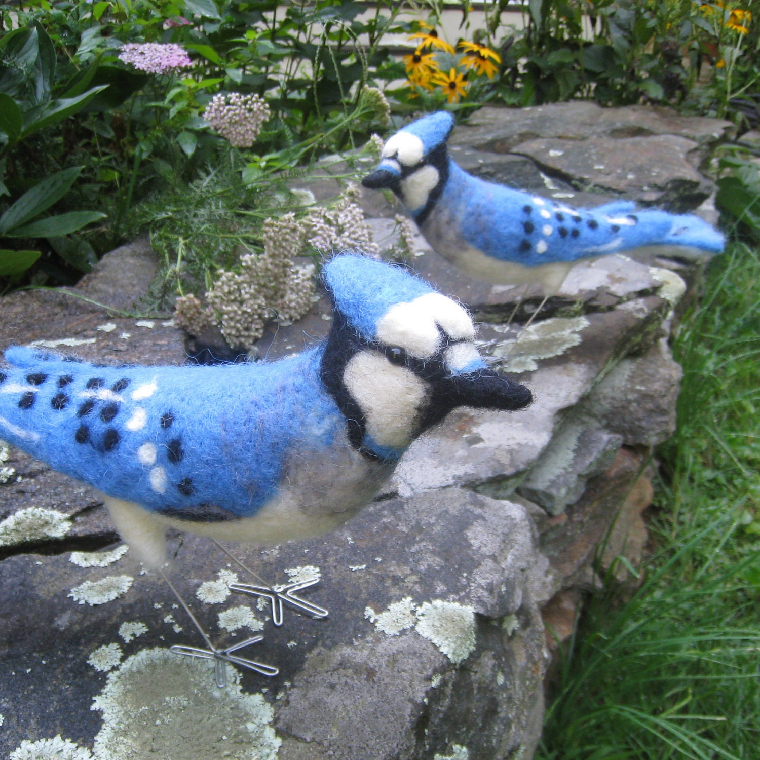 Mr. Blue Jay, needle felted bird art sculpture