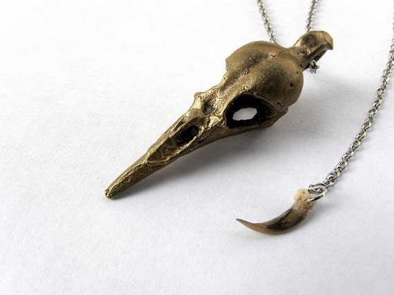 large starling skull drop skunk claw necklace