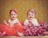 Blushing Rose Baby Tutu Skirt Set