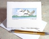 Wildlife Watercolor Canada Geese Fine Art Card