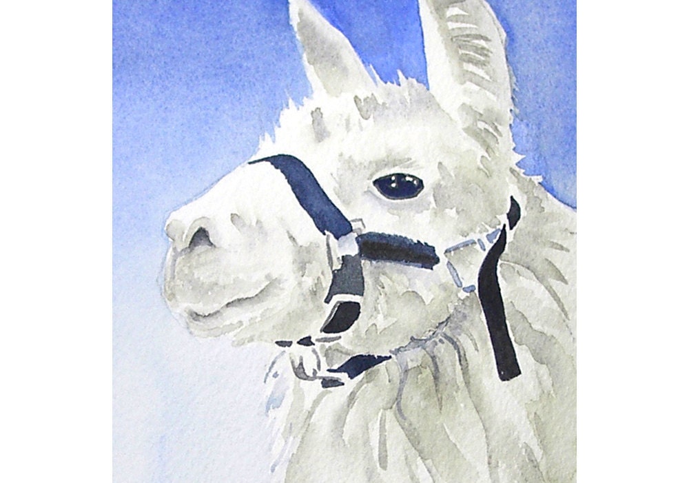 White Llama Animal Artwork Original Watercolor