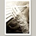 Old World Glamour- original photo print
