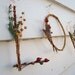 Mother Nature's Love Letters