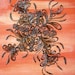 Acrylic Painting with Henna Art, Clusters of Flowers Handcrafted, Mixed Media Art