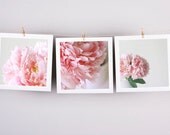 Set of 3 fine art photographs