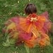 Autumn Fairy Costume